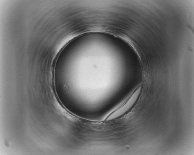 X0000099531147200805301434