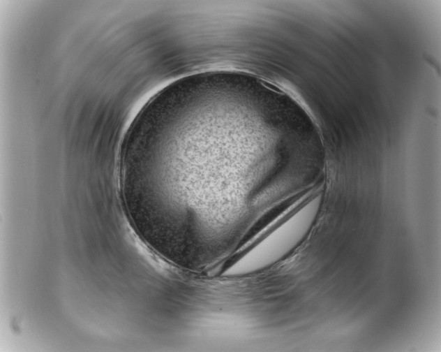 X0000099531148200805301434