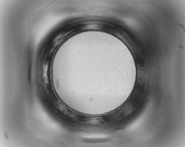 X0000099531150200805301434