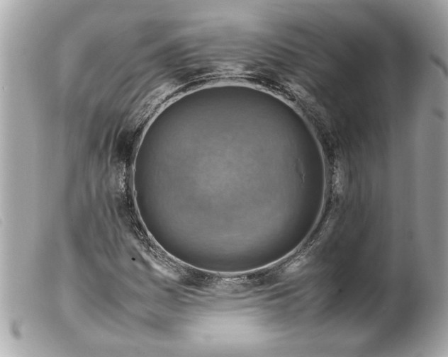 X0000099531161200805301434