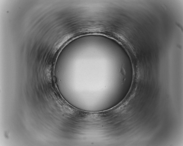 X0000099531162200805301434