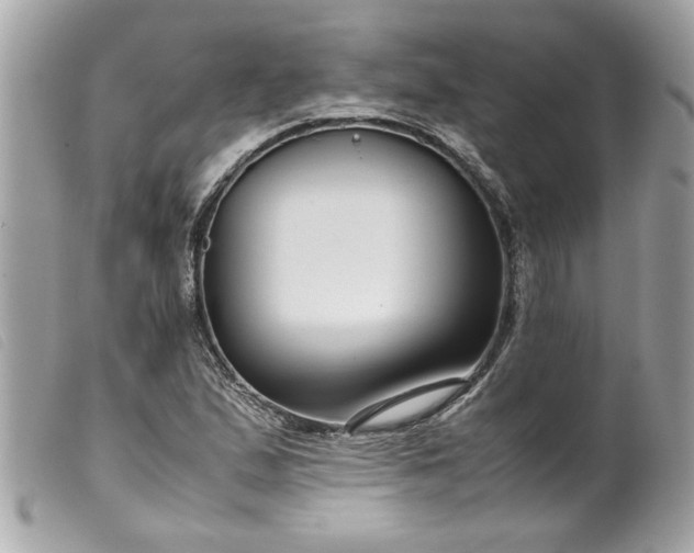 X0000099531167200805301433