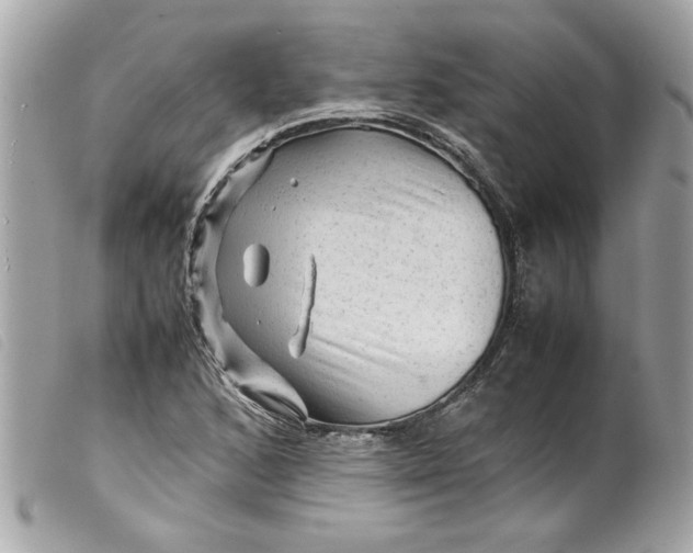 X0000099531168200805301433