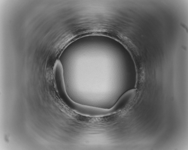 X0000099531169200805301433