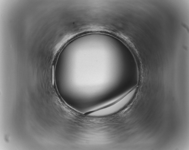 X0000099531175200805301433