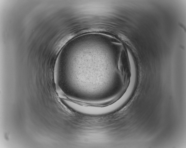 X0000099531177200805301433