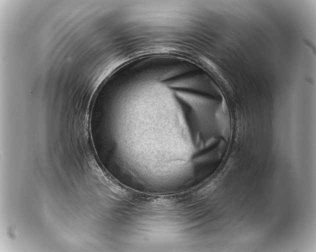X0000099531178200805301433