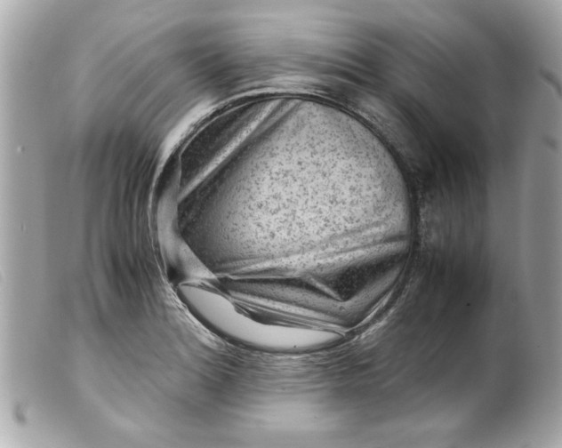 X0000099531180200805301433