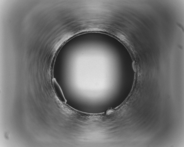 X0000099531181200805301433