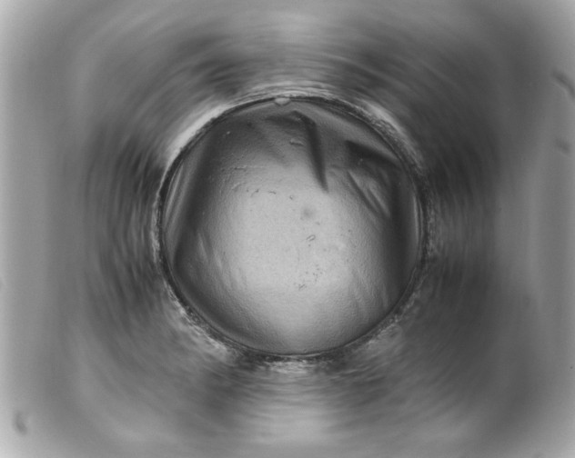X0000099531182200805301433