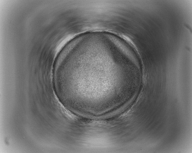X0000099531183200805301433