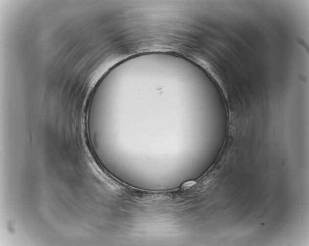 X0000099531187200805301433