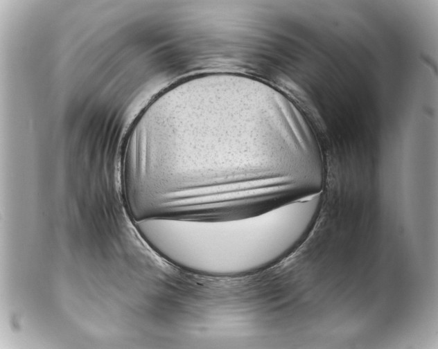 X0000099531188200805301433