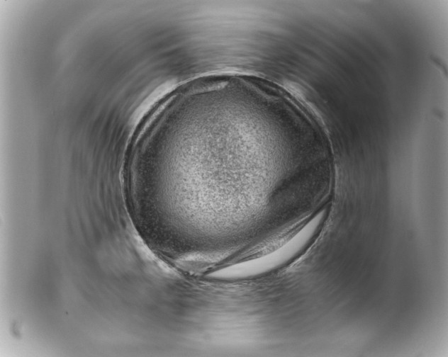 X0000099531189200805301433
