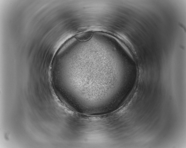 X0000099531190200805301433
