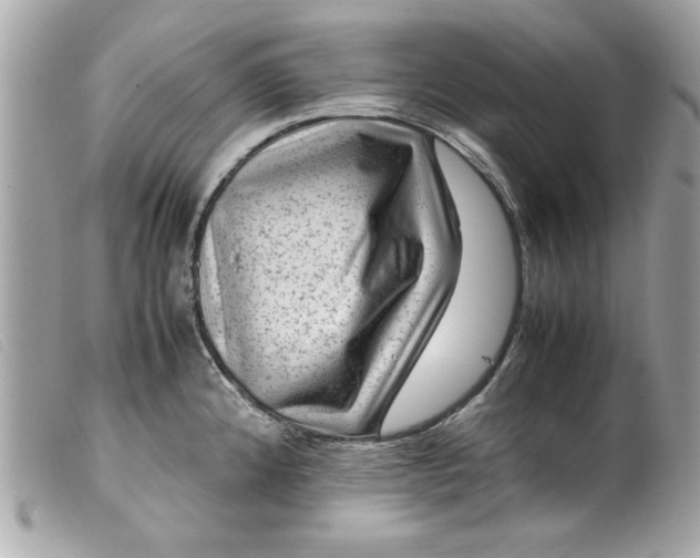 X0000099531192200805301433