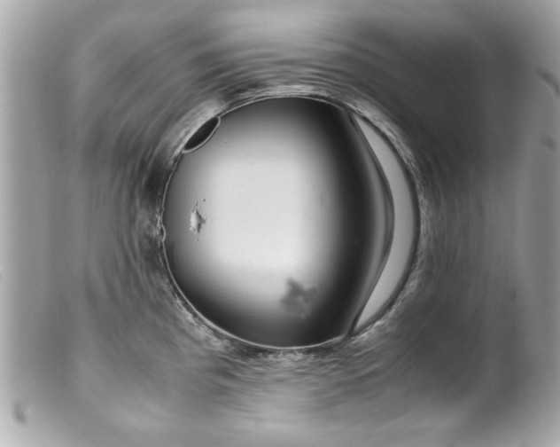 X0000099531193200805301433