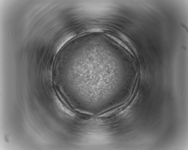 X0000099531194200805301433