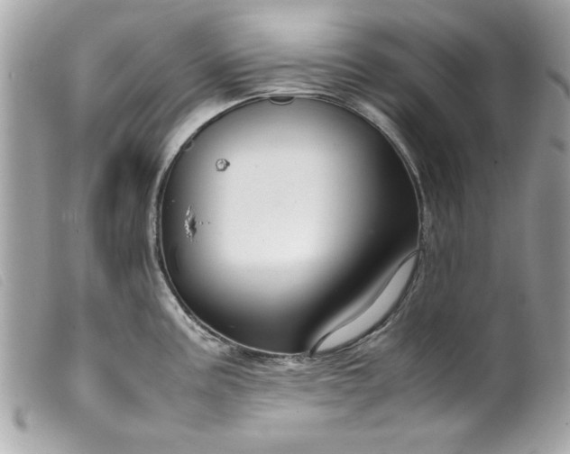 X0000099531195200805301433