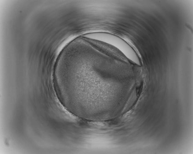 X0000099531197200805301433