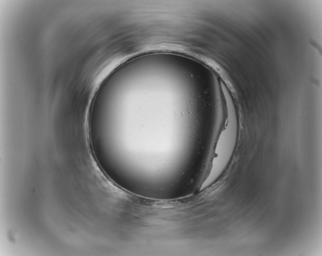 X0000099531199200805301433