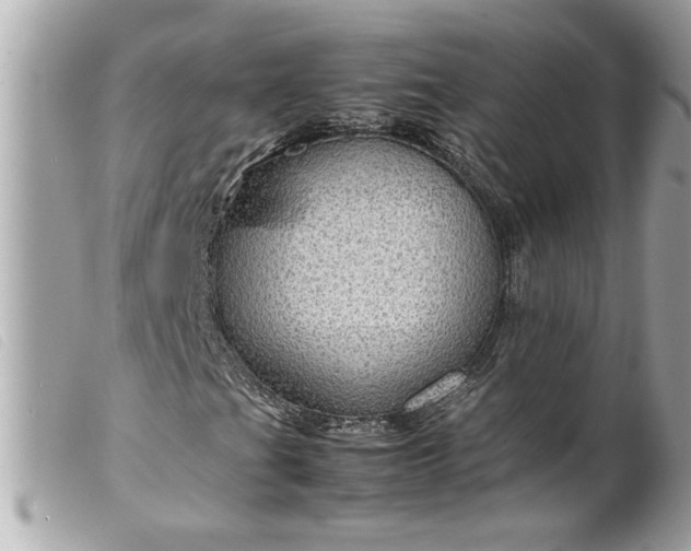 X0000099531201200805301432