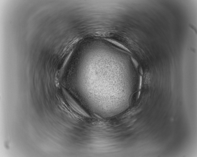 X0000099531202200805301432