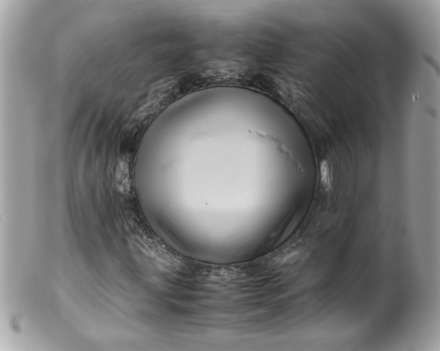 X0000099531203200805301432