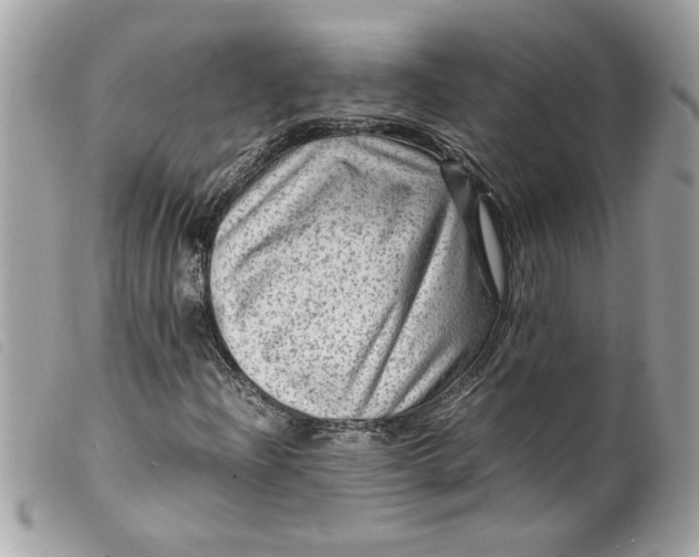 X0000099531204200805301432