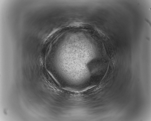X0000099531206200805301432