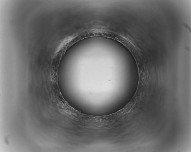 X0000099531207200805301432