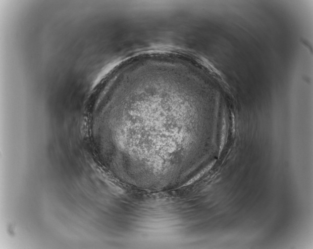 X0000099531208200805301432
