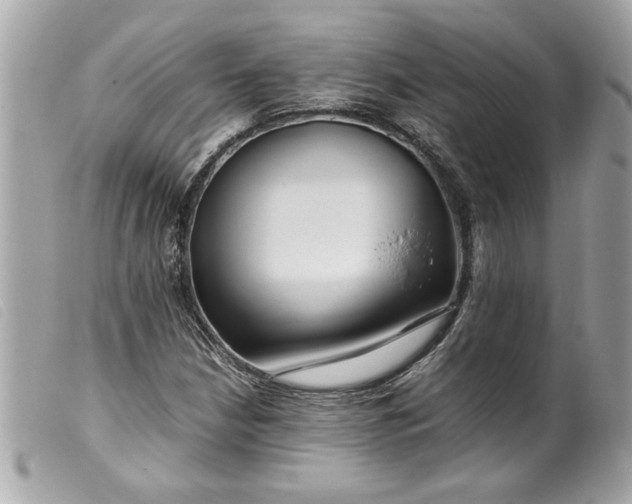 X0000099531210200805301432