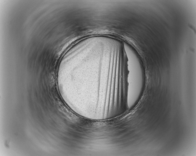 X0000099531212200805301433