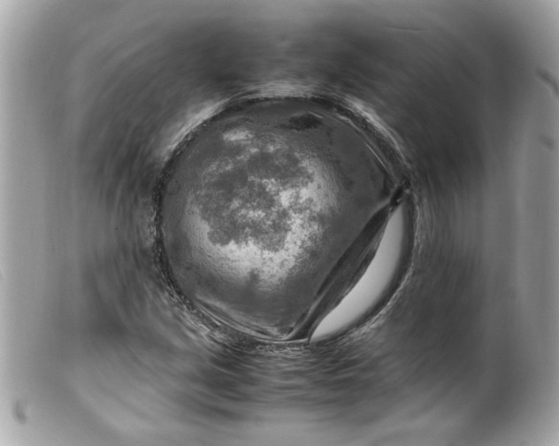 X0000099531213200805301433