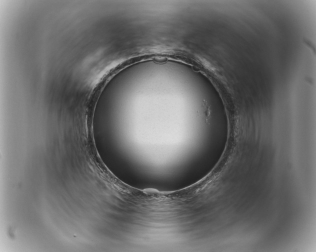 X0000099531214200805301433