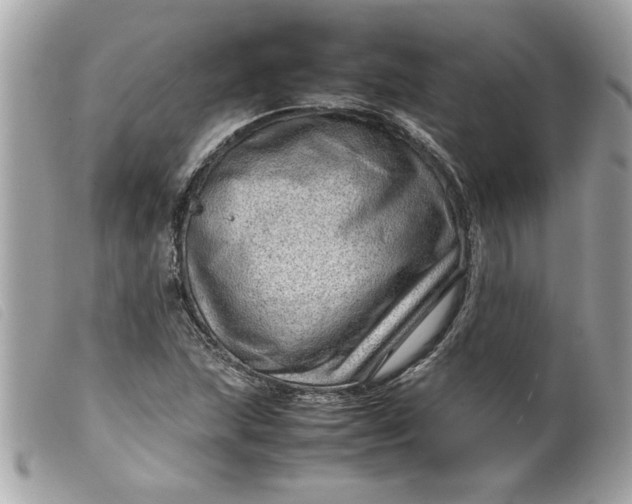 X0000099531215200805301433