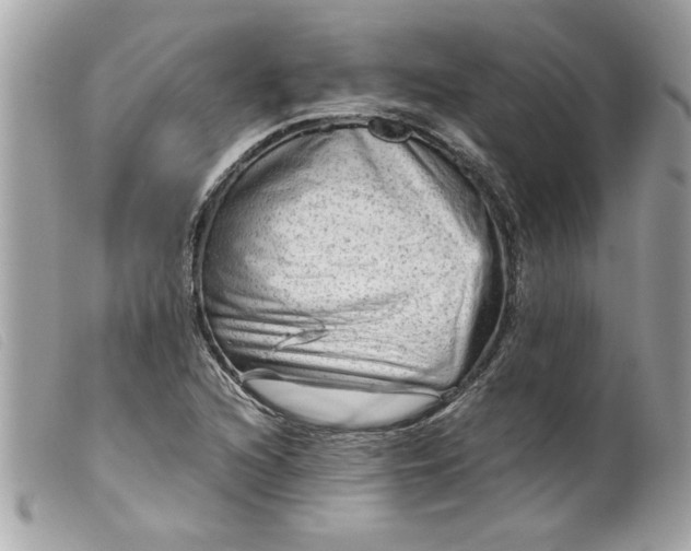 X0000099531216200805301433