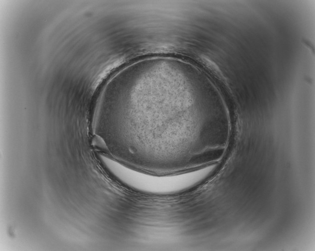 X0000099531218200805301433