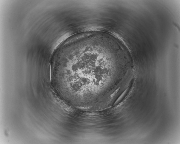 X0000099531219200805301433