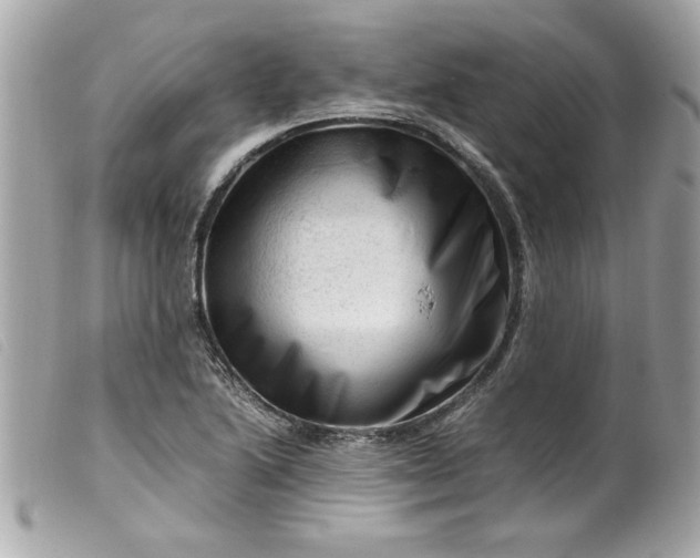 X0000099531222200805301433