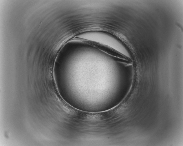 X0000099531225200805301433