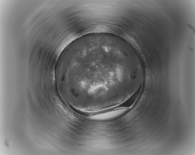 X0000099531226200805301433