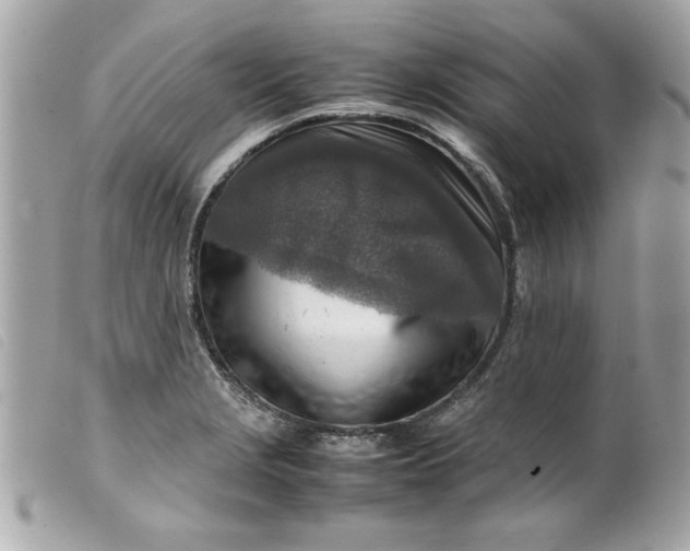 X0000099531229200805301433