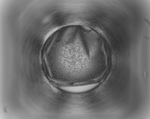 X0000099531230200805301433
