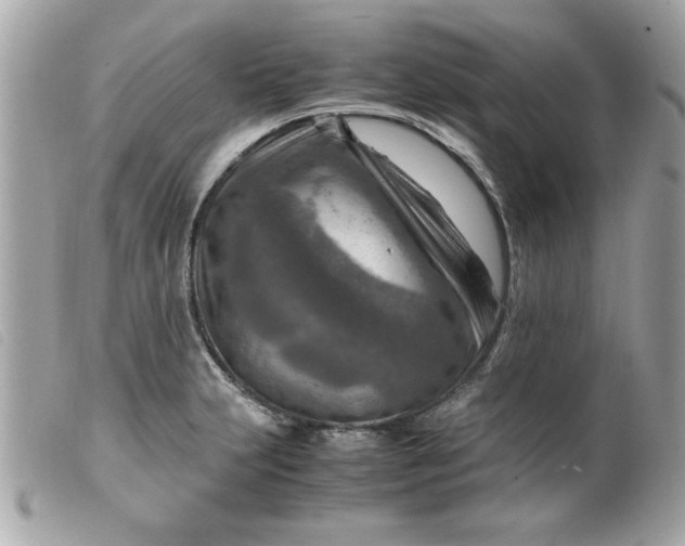 X0000099531231200805301433