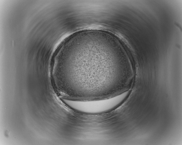 X0000099531232200805301433