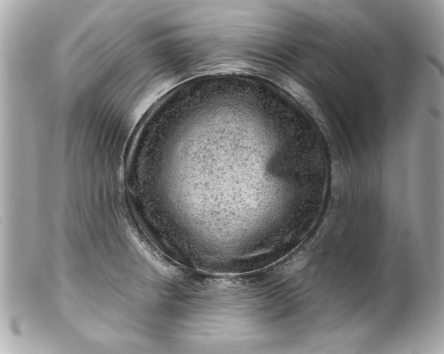 X0000099531234200805301433