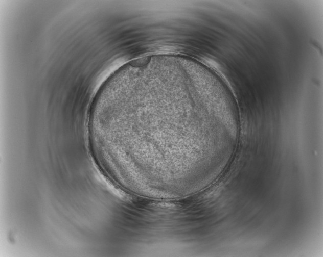 X0000099531235200805301433