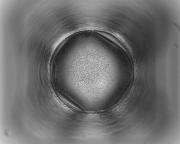 X0000099531238200805301433